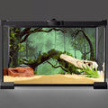 72x24 inches Reptile Habitat Background Foggy Forest Terrarium Backdrop