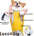 Luccalily Dog Poncho Hooded Raincoat for Puppies & Small to Large Dogs, Reflective Strips for Night Safety, Lightweight & Adjustable Fit (Small, Yellow)