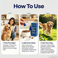 NAD+ Formula, Liquid Dog Supplement for Senior Dogs