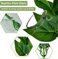 PINVNBY Reptile Terrarium Plants Hanging Artificial Lizards Habitat Climbing Decorations with Suction Cup Pets Tank Fake