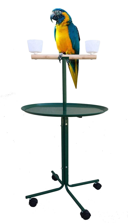 Large 23" Play T-Stand Perch Metal Base Parrot Bird Cage Amazon African Grey Macaw Cockatoo (23", Green)