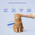 Cat UTI Treatment with Cranberry & D-mannose for Urinary Tract Support