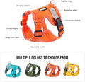 Large Cat Harness and Leash Set, Escape Proof Walking Harness for Big Cats