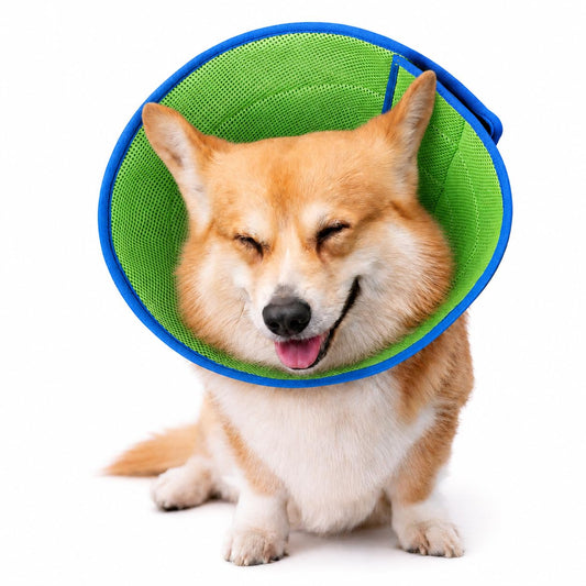 Soft Dog Cone Collar to Stop Licking After Surgery, Comfy Dog Cone Alternative for Large Medium Small Dogs/Cats, Adjustable Washable E-Collar for Spay Neuter Recovery and Neck Protection