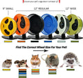 Silent Runner 12" Regular Wheel + Sandy Track + Cage Attachment - Pet Exercise Wheel Package Set - for Sugar Gliders, Fe