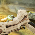 Janinka 14-17" Large Reptile Driftwood Branch for Bearded Dragon Gecko