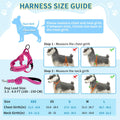 SlowTon No Pull Small Dog Harness and Leash Set with Front Clip