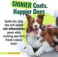 Azestfor Anti-Inflammatory Green Lipped Mussel for Dogs Powder