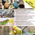 SunGrow Parrot Bell Toy Accessory, Galvanized Steel Jingle Chime Set with Hanging Clip, Cage Chew Play Item for Cockatie