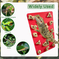 Mini Reptile Rock Climbing Wall, Terrarium Enclosure Enrichment & Habitat Décor for Bearded Dragons, Geckos, Lizards, Sn
