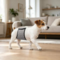 Mkono Belly Bands for Male Dogs, 3 Pack Reusable Dog Diapers