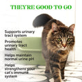Pet Honesty Vet Recommended Cat Urinary Supplement Crunchy Chews, 30ct