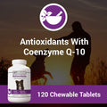 Vet Classics Coenzyme Q-10 Antioxidant Dog Supplement – Pet Health Supplement for Dogs – Supports Overall Dog Wellness, Aging – Includes Green Tea, Vitamin C, Wheat Grass – Chewable Tablets 120 Ct.