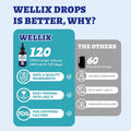 Wellix 120ml Natural Antibiotics for Cats&Dogs - Natural Herbal Supplement for Wound Care, UTI, Sneezing Treatment & Cold Relief - Cat Antibiotics Chicken Flavor for All Ages & Breeds
