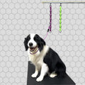 Dog Grooming Loops Extension Strap 2 PCS 6 D-Ring Dogs Grooming Table Arm Extender Straps Groom Restranit Noose Leash Quick Release Loop for Pets Salon (Purple & Green)