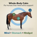 Formula 707 Support Pro Horse Supplement, 28 Daily Packs - Calming Aid