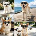 NAMSAN Dog Sunglasses for Small Dogs Cats, UV Protection Small Dog Sun Glasses Outdoors Riding Driving, Pet Glasses Phot