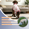 Dog Surgery Recovery Suit After Spay - Dogs Cone Alternative Onesie with Pee Hole, Breathable Anti Licking Neuter Post Surgical Dog Recovery Suit