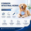 DEWORMER-Canine Tablets,pyrantel pamoate & praziquantel,48 Tablets