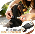 Dachshund Collar with Detachable Bow Tie