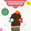 Hermit Crab Greensand – Calcium and Trace Mineral Molting Support – Non-GMO, Auto Feeder Friendly, Inert Powder Formula 