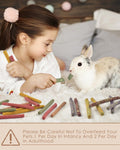 Bissap 72 PCS Rabbit Chew Sticks, Natural Timothy Hay Pumpkin Sugar Beet Carrot Strawberry Rose Dahlberg Daisy Forget-me