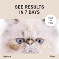 Eye Envy Tear Stain Remover Solution for Cats. Gentle, Natural and Safe. Cleans Tear Stains. Recommended by Breeders, Gr