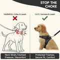 No Pull Reflective Adjustable Dog Harness with Handle- Comfortable Soft All Weather Mesh, Easy On Puppy Harness for Smal