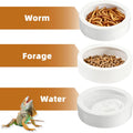 Escape-Proof Reptile Food Dish Bowl, Ceramic Reptile Feeding Dish & Small Animal Bowl for Lizard, Leopard Gecko, Hermit 