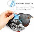 Bird Harness and 3M Elastic Flight Leash, Adjustable Parrot Harness for Budgies, Parakeets, Lovebirds, Cockatiels, Conur