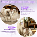 Cat Calming Diffuser Kit with 2 Diffusers & 4 Refills (48mL Each), Cat Pheromones Calming Diffuser for Cat Anxiety Relie