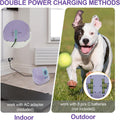 BESTHLS Automatic Dog Ball Launcher Tennis Ball Thrower Machine with 6 Ball