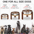 Feedoo Elevated Dog Bowl Stand, 7'' Height Raised Stand for Large Dogs, Includes 3Cups Stainless Steel Slow Feeder Dog B