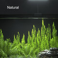 Carefree Fish Aquarium LED Light USB 5V1A RGBW 5730 Timmer 1~10Gal Fish Tank Clip Light 10 Brightness Levels 8W with USB