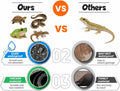 Reptile Tank Liner Non-Slip Washable Reptile Substrate - Easy Clean Custom Fit Terrarium Bedding for Snakes Geckos Lizar