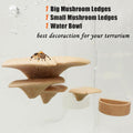 2 Pack Jumping Spider Accessories Mushroom Ledges & 1 Pack Water Bowl with Magnets for Spoods Jumping Spiders Magnetic L