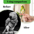 5 PCS Bird Diaper, Reusable Parrot Nappy Flight Suit Washable Pet Bird Diapers with Waterproof Inner Adjustable Straps B