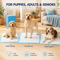 Boscute Super Absorbent & Leak-Proof Jumbo Size 36"x36" Pet Training Dog Pee Pads, Thicken Quick Dry Disposable Puppy Pee Pads, Potty Training Pads for Dogs Cats, Rabbits