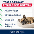 Advanced Calming Chews for Dogs - Hemp Chews and Melatonin - Anxiety Relief - Sleep Aid - Relaxing Treats - Stress Relief During Fireworks, Storms, Thunder, Barking - Made in USA - BBQ - 60ct