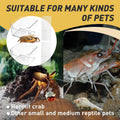 2 Packs Hermit Crab Pool - Ideal Hermit Crab Tank Combination - Pool with Cuttable Climbing Ramp