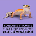 Zilla Vitamin Supplement Food Spray, Reptile Multivitamin, 8 Ounces