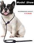 6FT Heavy Duty Slip Lead - No Pull Dog Training Leash, Comfortable & Lightweight, Suitable for Small to Medium Dogs (Black)