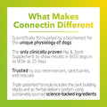 InClover Connectin Hip & Joint Supplement for Cats, supports mobility