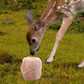 Himalayan Salt Lick Natural Minerals Block on Rope for Horses,Cattles,Deer,Goat and Other Livestock Long Lasting Origina