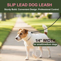 Slip Lead Dog Leash for Small & Medium Dogs, 1/4” x 5ft Sturdy Nylon Rope with Spring-Loaded Adjustable Stopper, Easy On/Off Training & Walking Slip Leash (Black, 5ft*1/4")