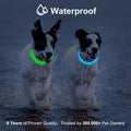 Novkin 2-Pack LED Dog Collar, Light Up Dog Collars,Rechargeable Dog Lights for Night Walking，Universal, Reusable Safety Necklace for Small Medium Large Dogs Green&Blue
