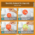 PetDroid Interactive Dog Toys Dog Ball, [Newly Upgraded] Durable Motion Activated Automatic Rolling Ball Toys for/Small/