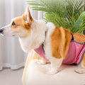 Permeable Dog Belly Bands Washable Pet Belly Covers Regulable Belly Bands for Small to Large Dogs