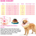 EMUST Inflatable Dog Donut Collar with Protective Shield, Soft Pet Recovery E-Collar for Dogs After Surgery, Adjustable 