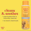 Burt’s Bees for Pets Tear Free Puppy Shampoo & Conditioner with Buttermilk, 2 in 1 Gentle Dog Shampoo for Puppies, Cleans and Conditions Sensitive Skin, 16 Fl Oz